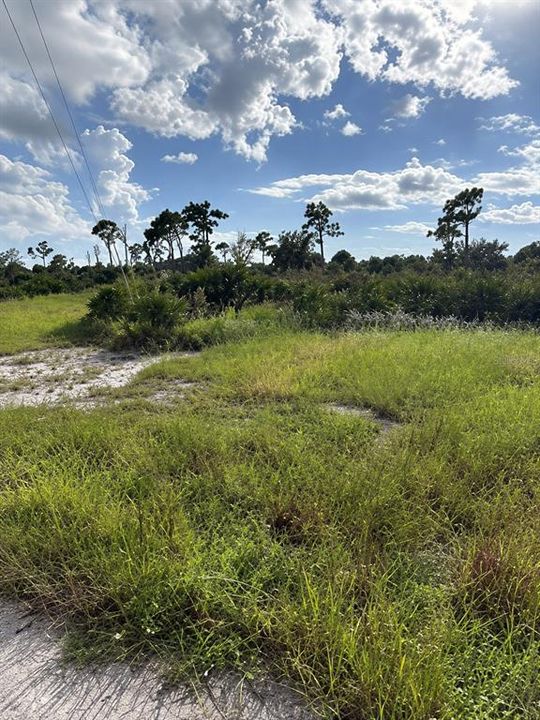 На продажу: $22,000 (0.37 acres)
