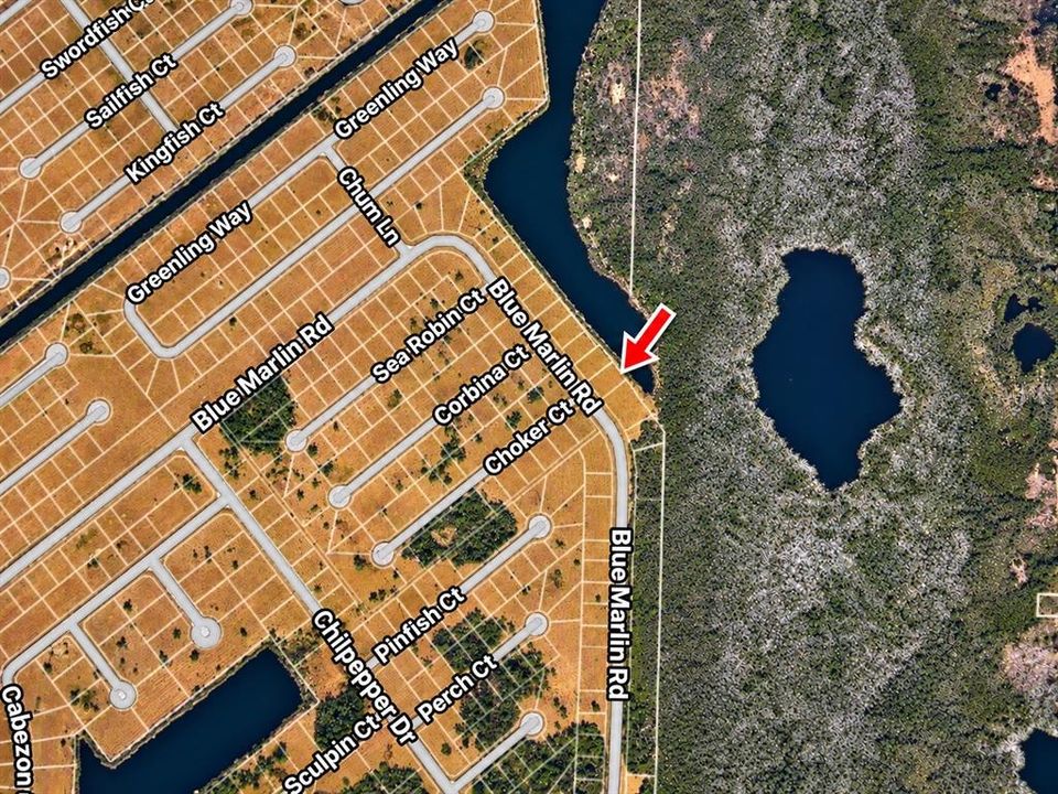 На продажу: $25,000 (0.17 acres)