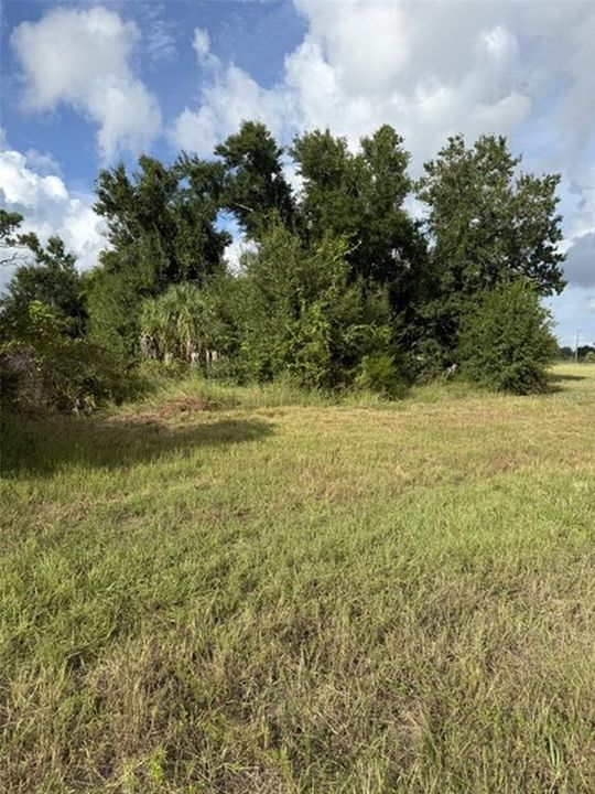 На продажу: $25,000 (0.17 acres)