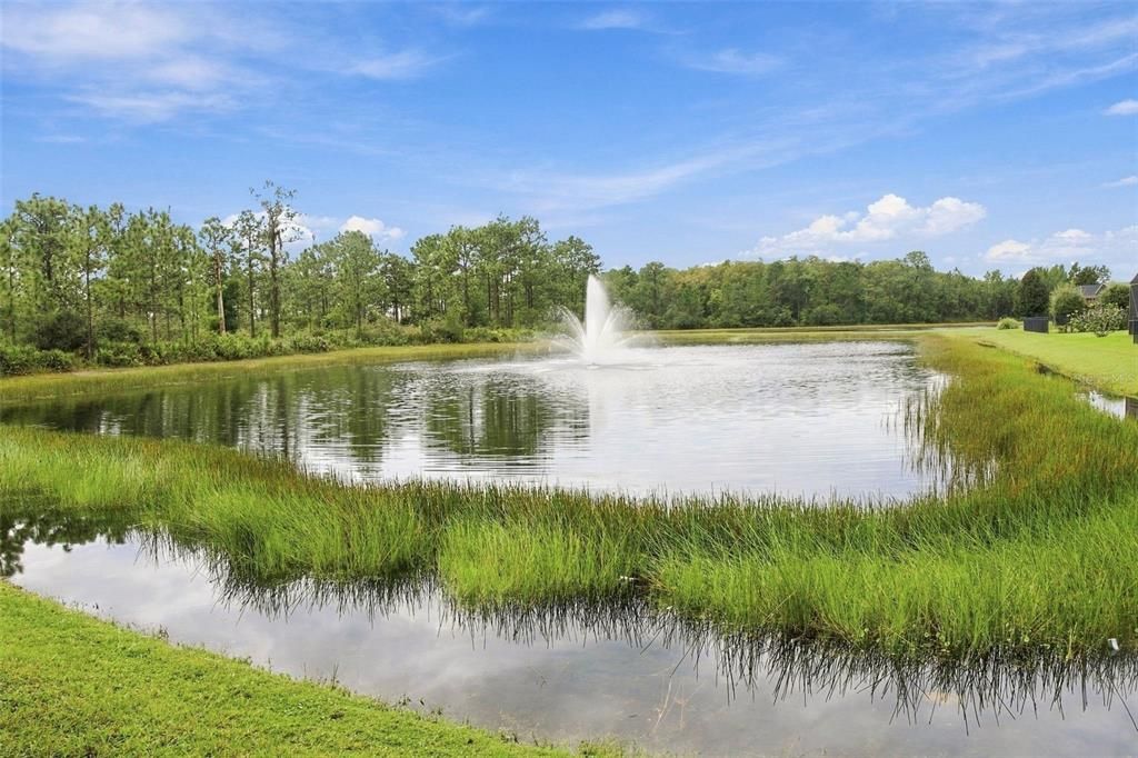 For Sale: $584,999 (6 beds, 4 baths, 3181 Square Feet)