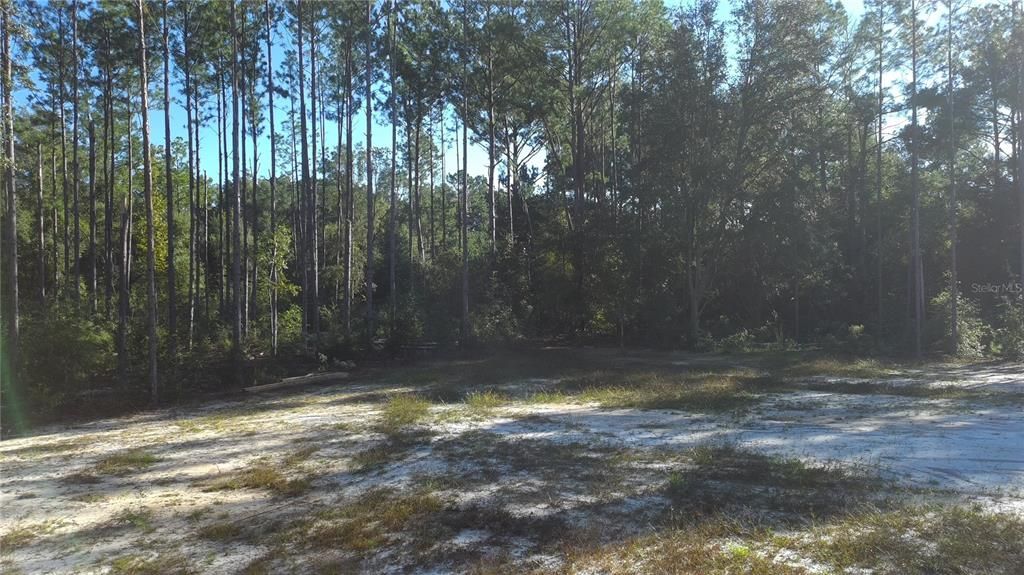 На продажу: $197,500 (2.50 acres)