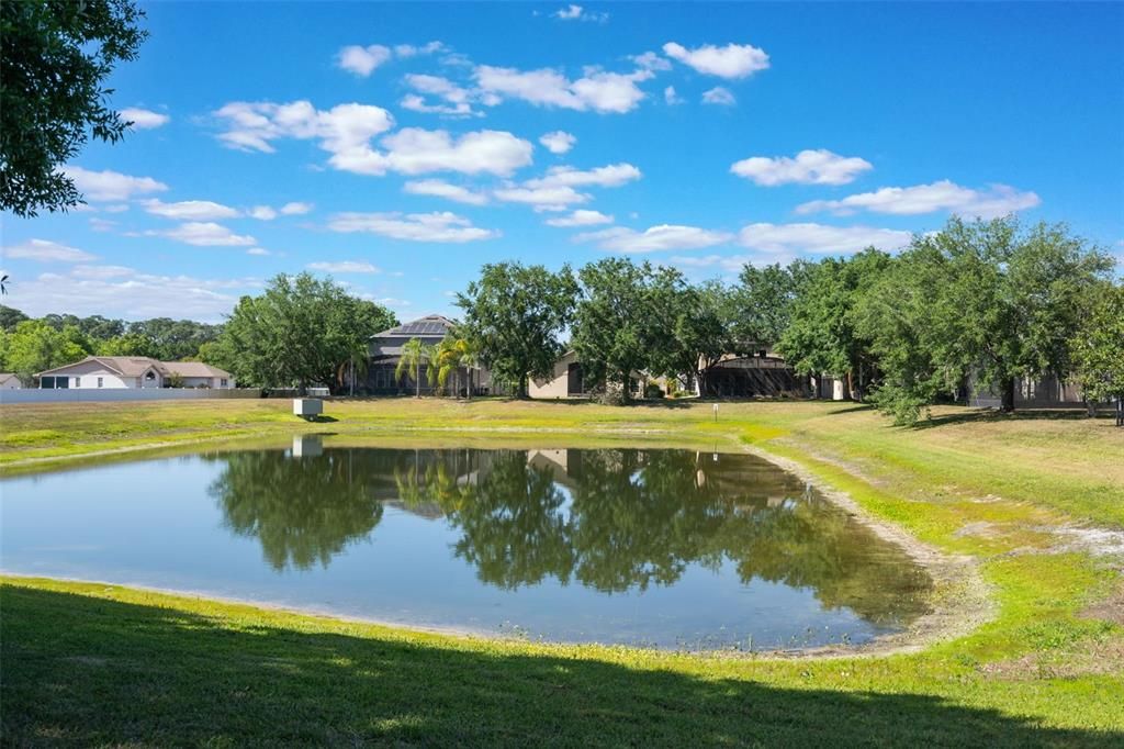 For Rent: $3,150 (4 beds, 2 baths, 2167 Square Feet)