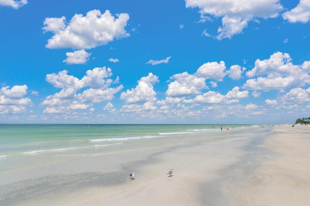 For Sale: $5,395,000 (0.45 acres)