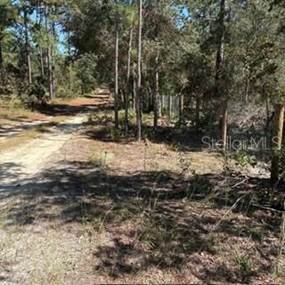 На продажу: $349,900 (4.62 acres)