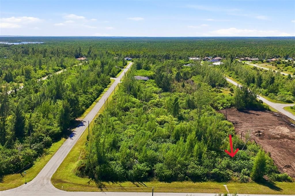 待售: $29,000 (0.25 acres)
