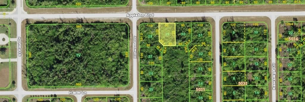 待售: $29,000 (0.25 acres)