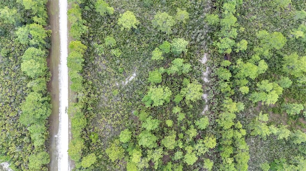 For Sale: $15,000 (0.50 acres)