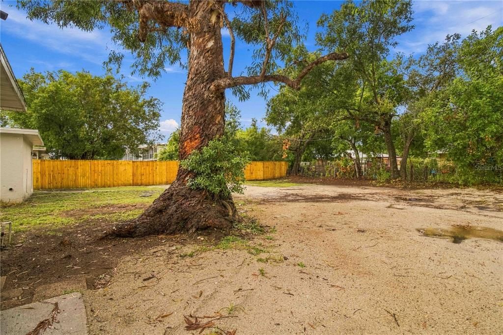 На продажу: $465,000 (6 спален, 0 ванн, 1890 Квадратных фут)