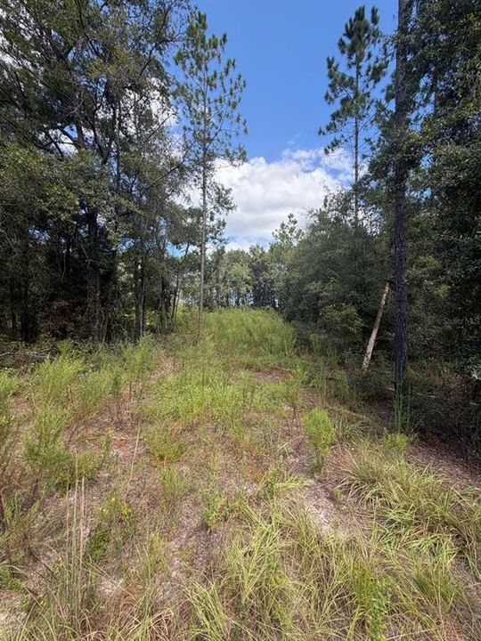 For Sale: $135,000 (5.08 acres)