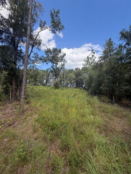 For Sale: $135,000 (5.08 acres)