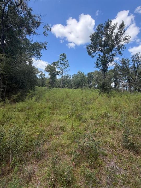 For Sale: $135,000 (5.08 acres)