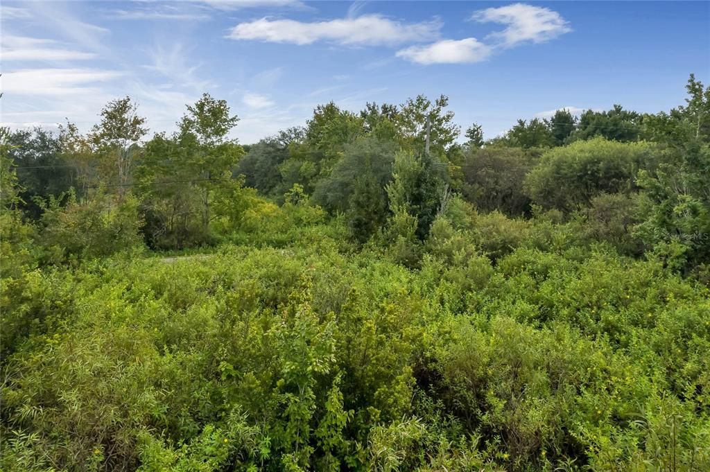 For Sale: $525,000 (5.00 acres)