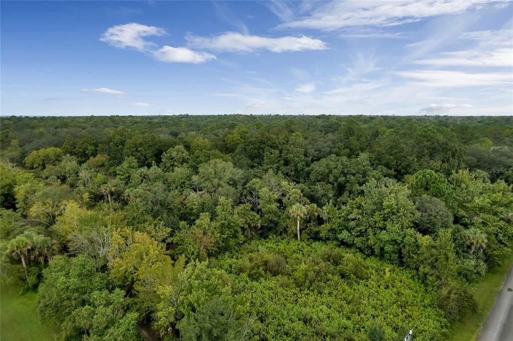 For Sale: $525,000 (5.00 acres)