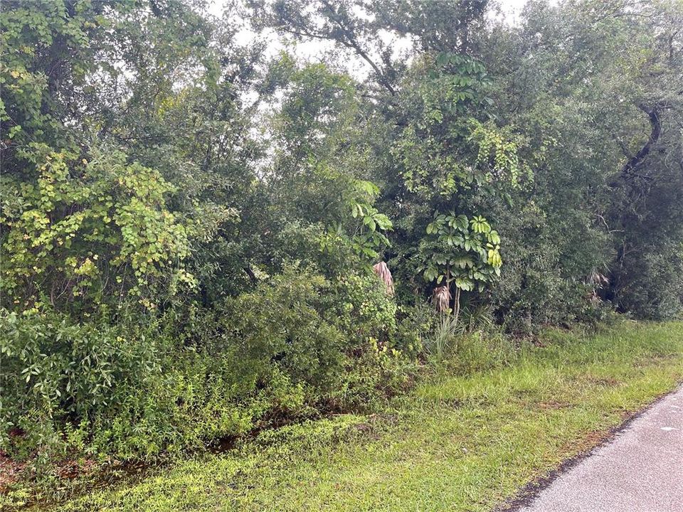 На продажу: $23,500 (0.23 acres)