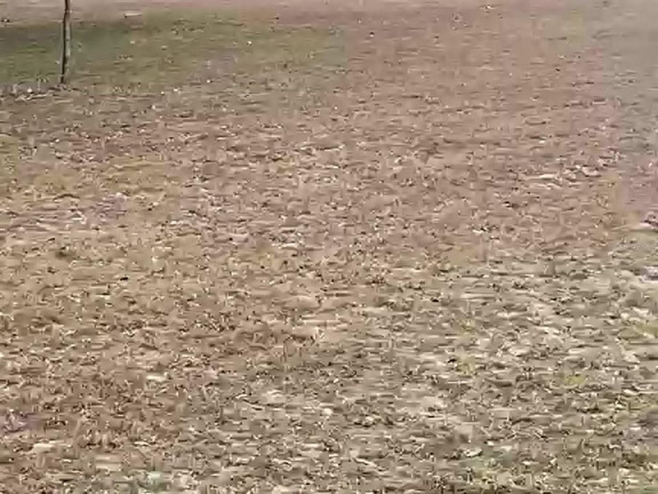 На продажу: $150,000 (10.23 acres)