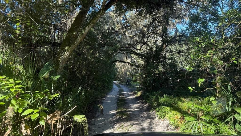 For Sale: $6,999 (0.12 acres)