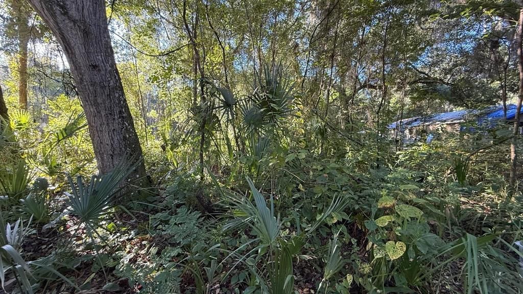 For Sale: $6,999 (0.12 acres)