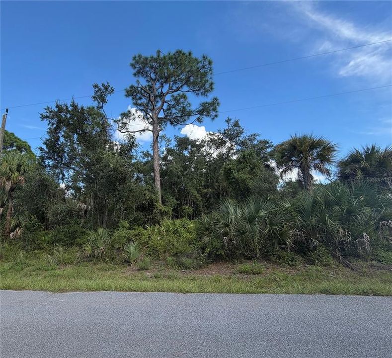 На продажу: $29,500 (0.23 acres)
