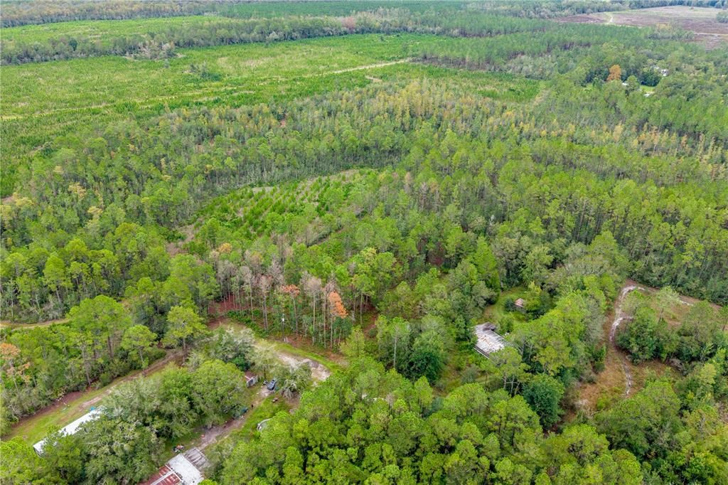 For Sale: $29,900 (1.60 acres)