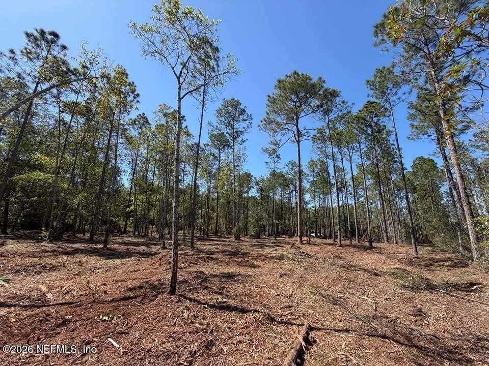 For Sale: $29,900 (1.60 acres)