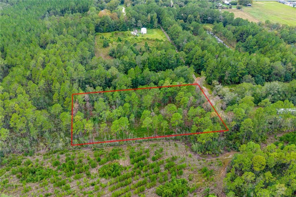 For Sale: $29,900 (1.60 acres)