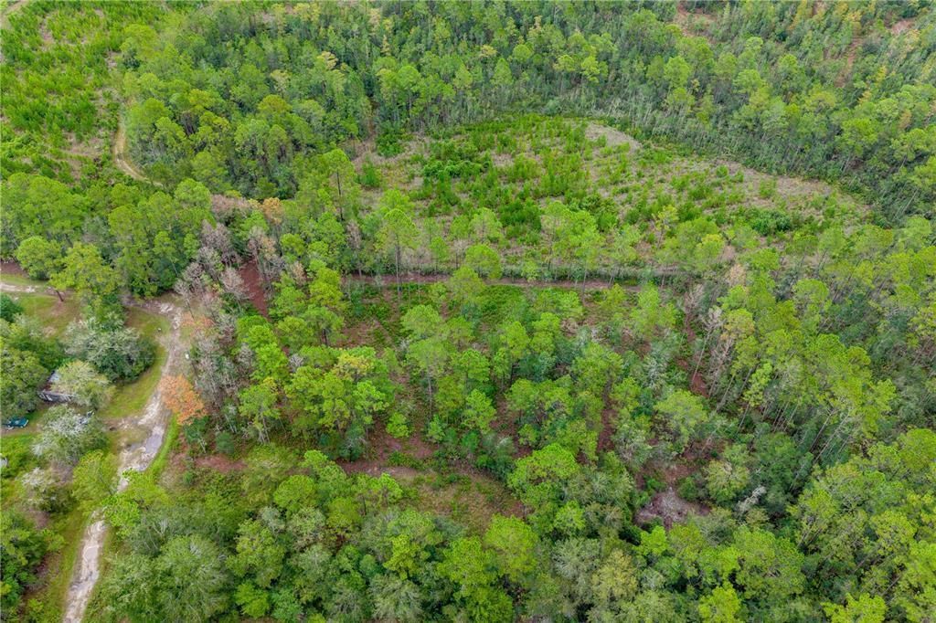 For Sale: $29,900 (1.60 acres)