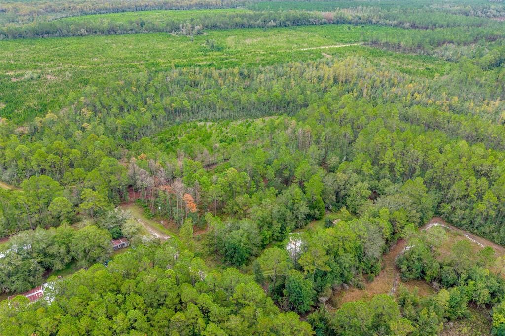 For Sale: $29,900 (1.60 acres)
