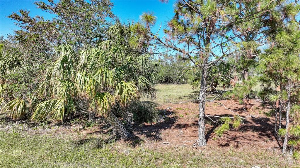 For Sale: $95,000 (0.33 acres)