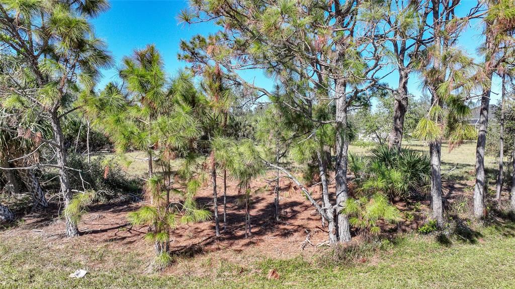 For Sale: $95,000 (0.33 acres)