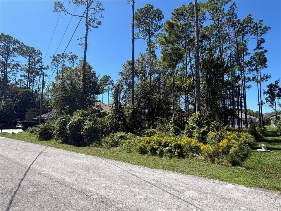 На продажу: $117,000 (0.23 acres)
