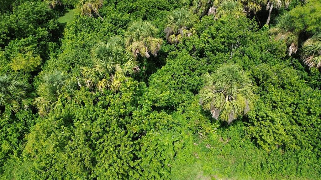 На продажу: $20,000 (0.23 acres)