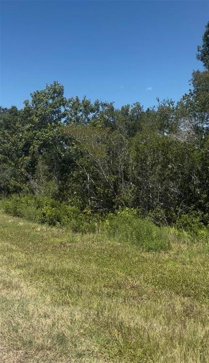 For Sale: $24,999 (1.04 acres)