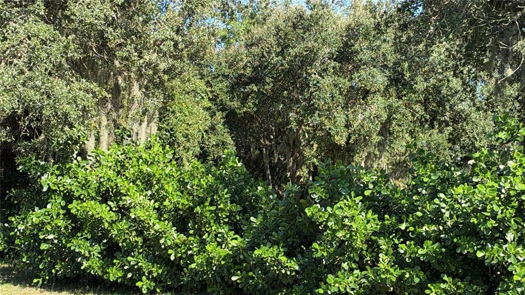待售: $40,000 (0.46 acres)