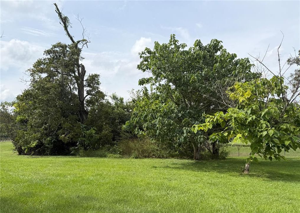 For Sale: $17,000 (0.17 acres)