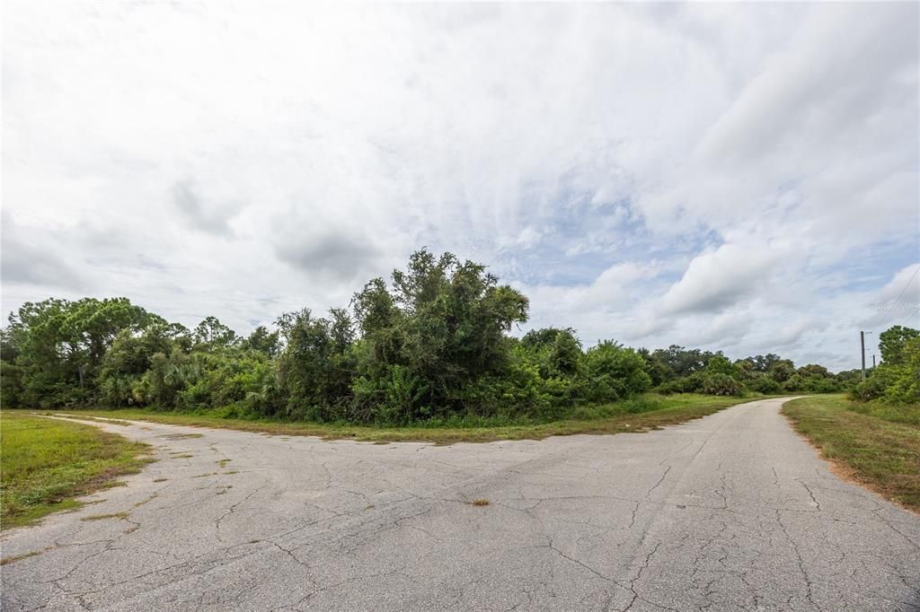 For Sale: $20,000 (0.30 acres)