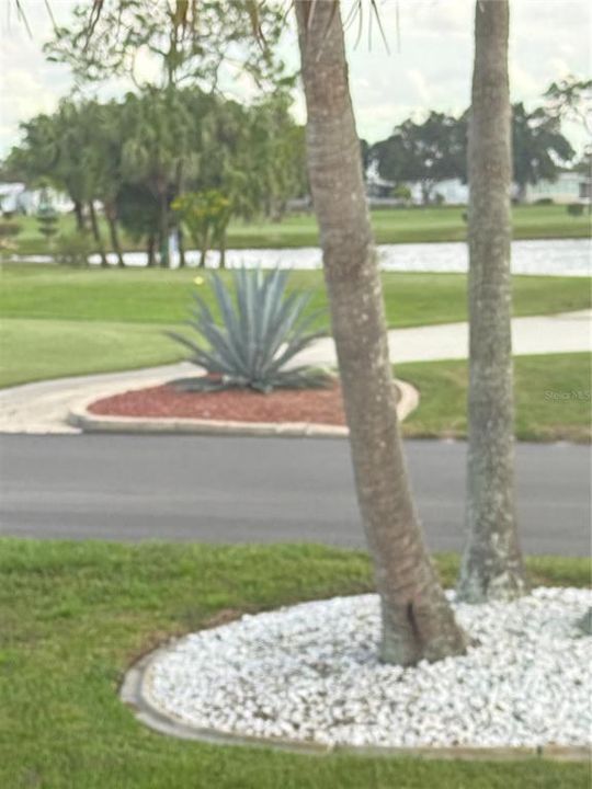 For Rent: $2,400 (1 beds, 1 baths, 518 Square Feet)