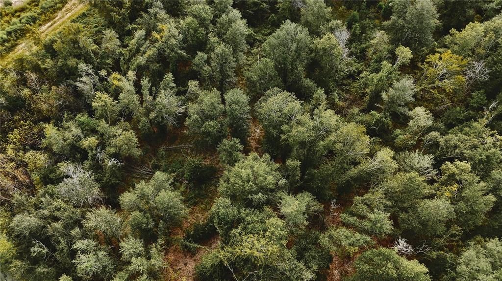 На продажу: $160,000 (10.00 acres)
