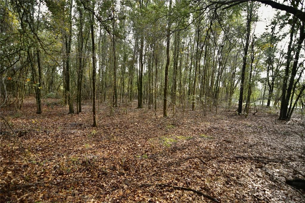 На продажу: $160,000 (10.00 acres)