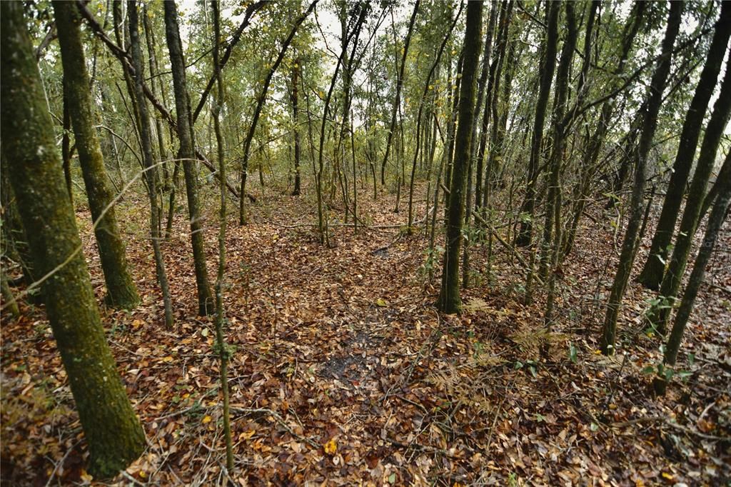На продажу: $160,000 (10.00 acres)