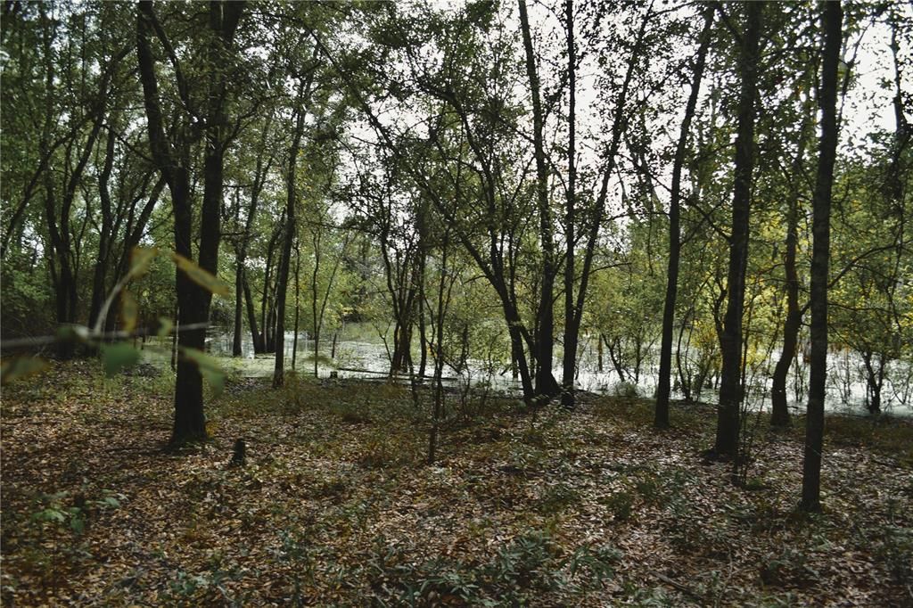 На продажу: $160,000 (10.00 acres)