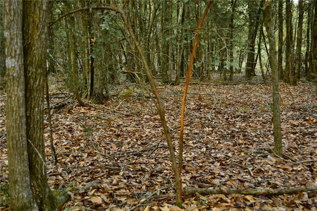 На продажу: $160,000 (10.00 acres)