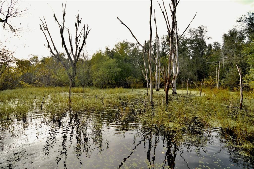 На продажу: $160,000 (10.00 acres)