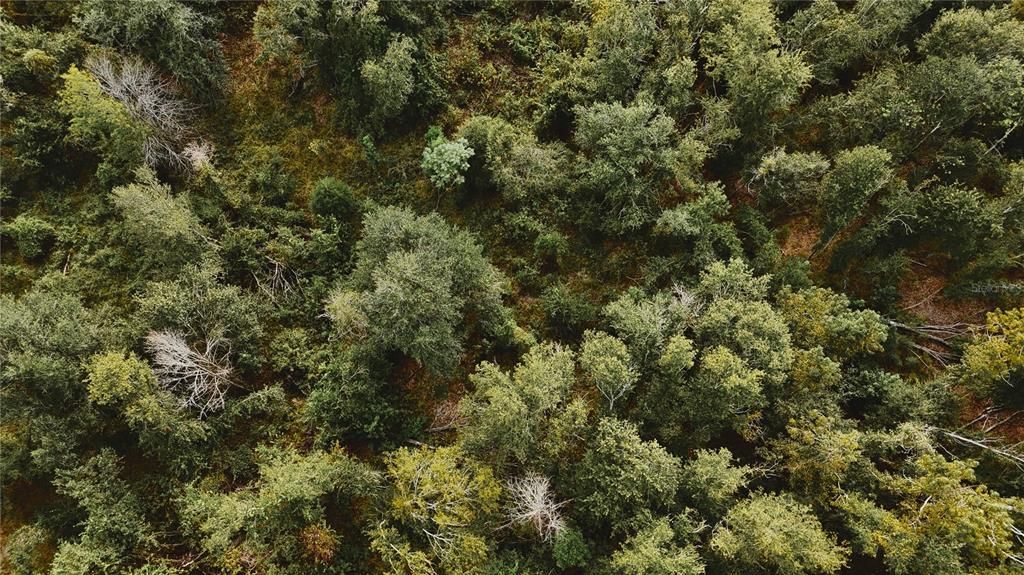 На продажу: $160,000 (10.00 acres)