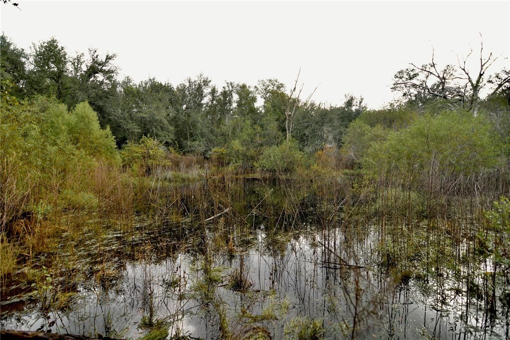 На продажу: $160,000 (10.00 acres)