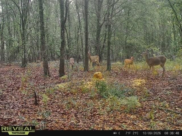 На продажу: $160,000 (10.00 acres)
