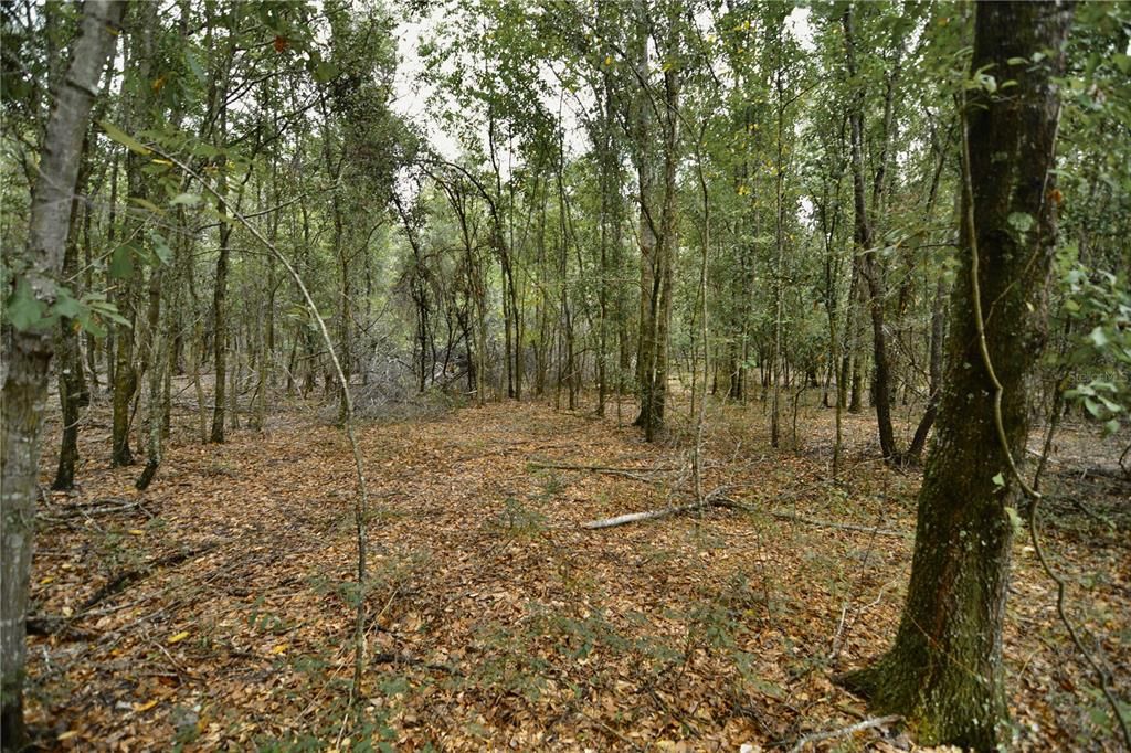 На продажу: $160,000 (10.00 acres)