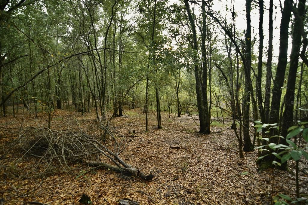 На продажу: $160,000 (10.00 acres)