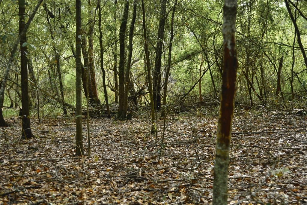 На продажу: $160,000 (10.00 acres)