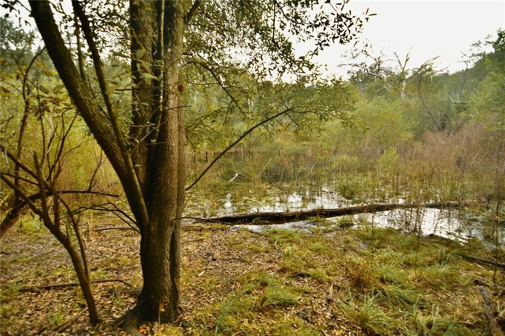 На продажу: $160,000 (10.00 acres)