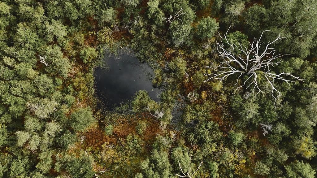 На продажу: $160,000 (10.00 acres)